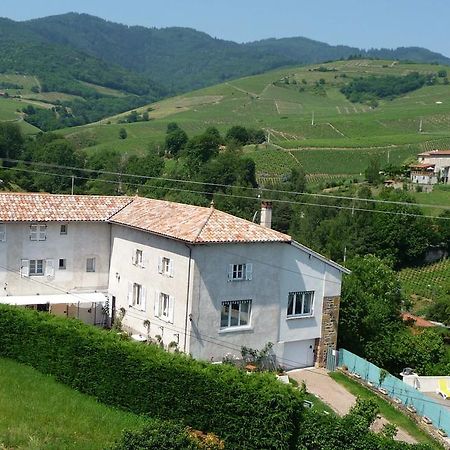 Les Picorettes Vaux-en-Beaujolais Ngoại thất bức ảnh