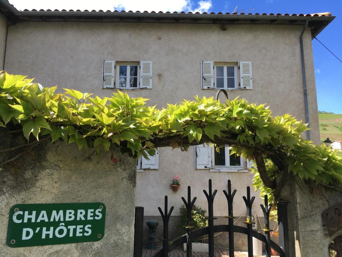Les Picorettes Vaux-en-Beaujolais Ngoại thất bức ảnh